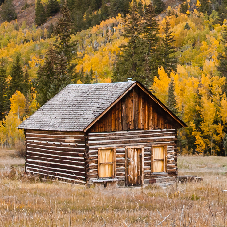 Northern Colorado home inspection services - log cabin